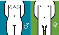 Piktogramm, das einen weiblichen und männlichen Körper zeigt.