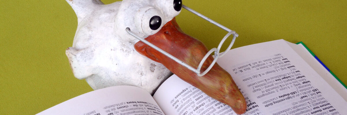 Eine Vogelfigur aus Keramik mit Brille liest im Duden.